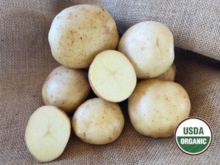 Yukon Gem Organic Seed Potatoes