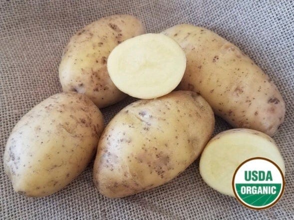Nicola Organic Seed Potatoes
