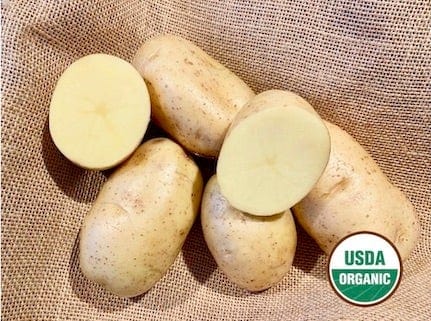 Carola Organic Seed Potatoes Yellow flesh exceptional flavor