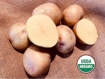 Yukon Gold Organic Seed Potatoes