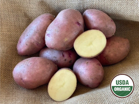 MonDak Gold Organic Seed Potatoes