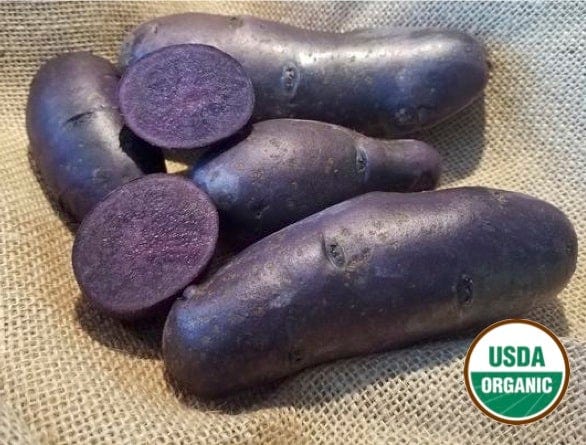 Magic Molly Organic Seed Potatoes